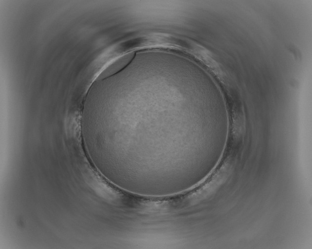 X0000112511369200908171324