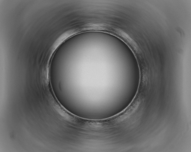 X0000112511370200908171324