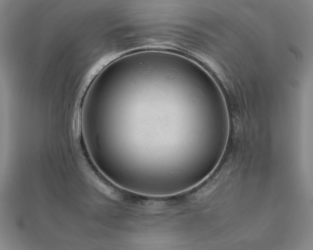 X0000112511371200908171324
