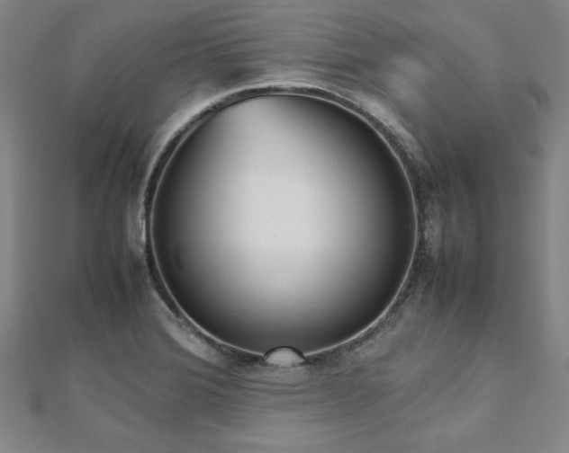 X0000112511372200908171324