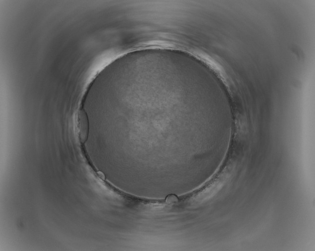 X0000112511373200908171324