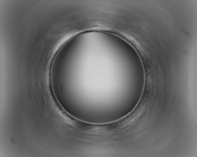 X0000112511375200908171324