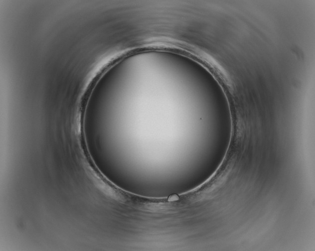 X0000112511376200908171324