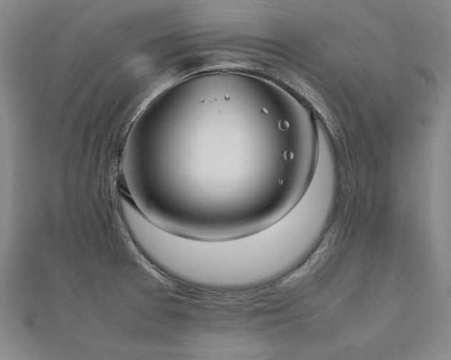 X0000112511377200908171324