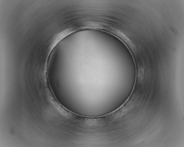 X0000112511378200908171324