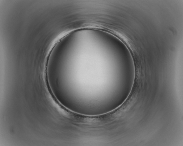 X0000112511379200908171324