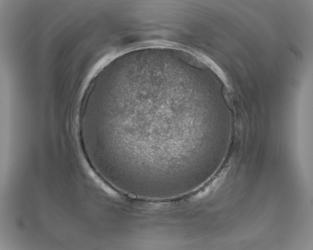 X0000112511381200908171324