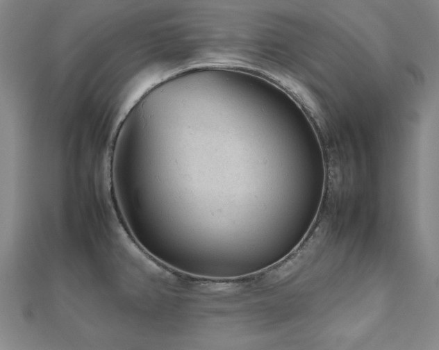 X0000112511382200908171324