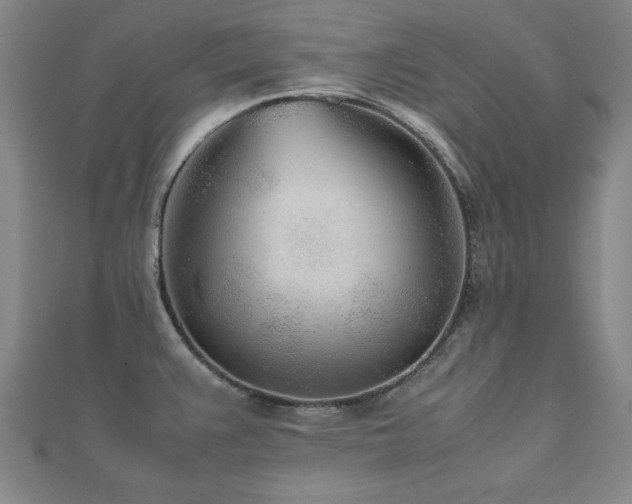 X0000112511383200908171324