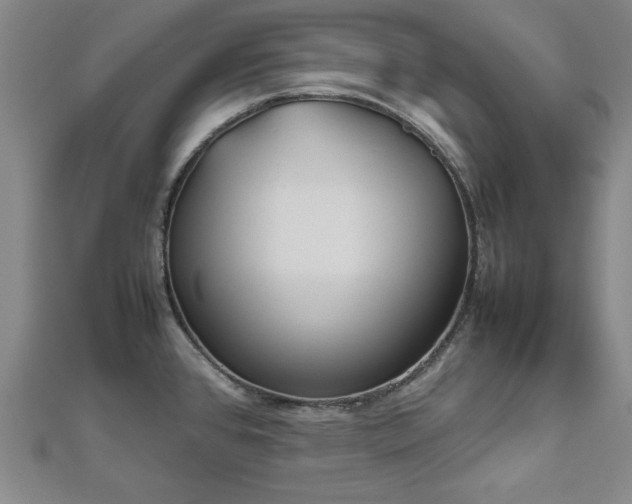 X0000112511384200908171324