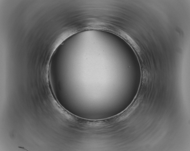 X0000112511386200908171324