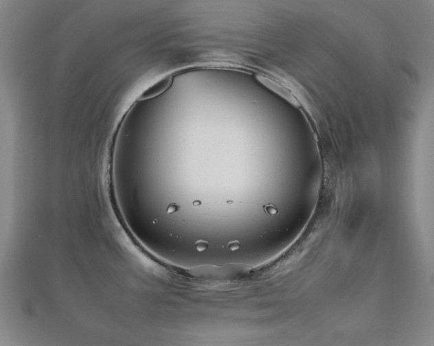 X0000112511387200908171324