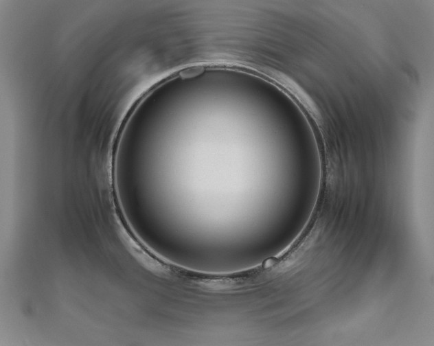 X0000112511388200908171324