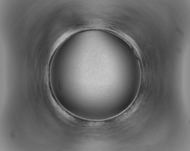 X0000112511389200908171324
