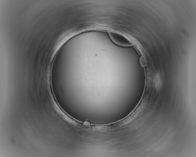 X0000112511390200908171324