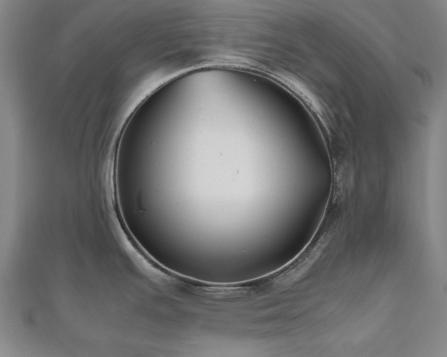 X0000112511391200908171324