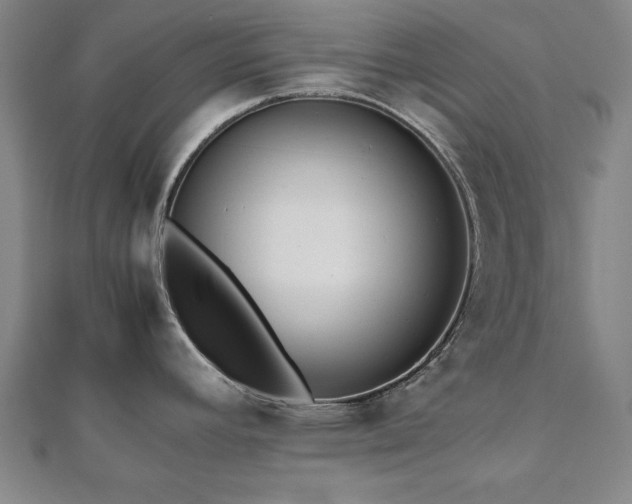 X0000112511392200908171324