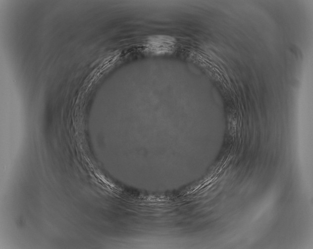X0000112511393200908171323