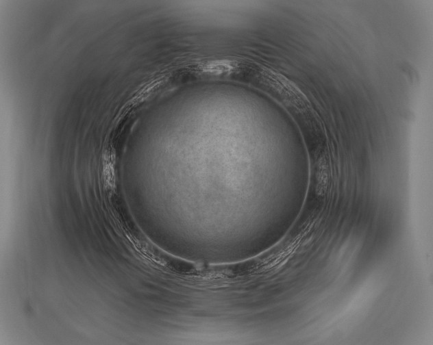 X0000112511394200908171323