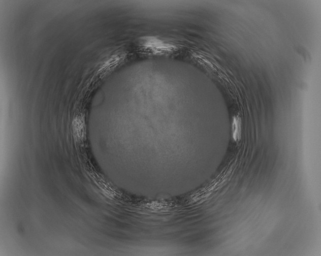 X0000112511395200908171323
