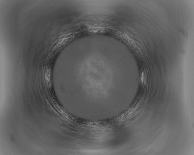 X0000112511396200908171323
