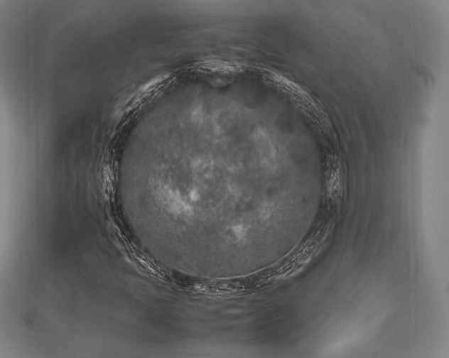 X0000112511397200908171323