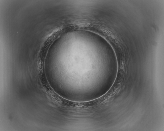 X0000112511398200908171323