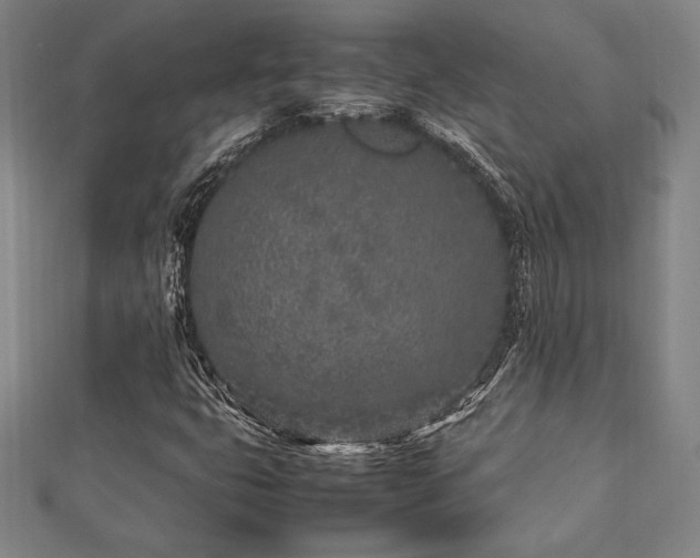 X0000112511399200908171323