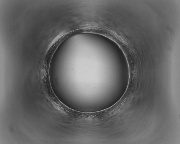X0000112511400200908171323