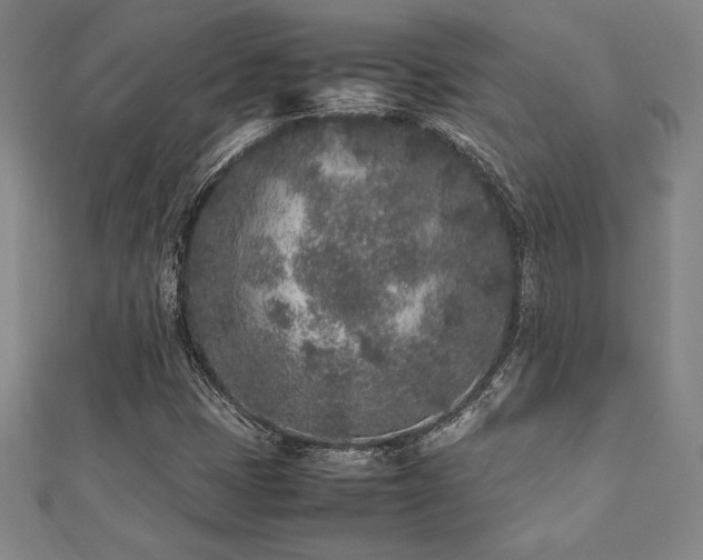 X0000112511401200908171324