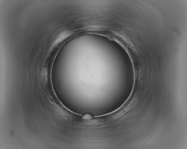 X0000112511402200908171324