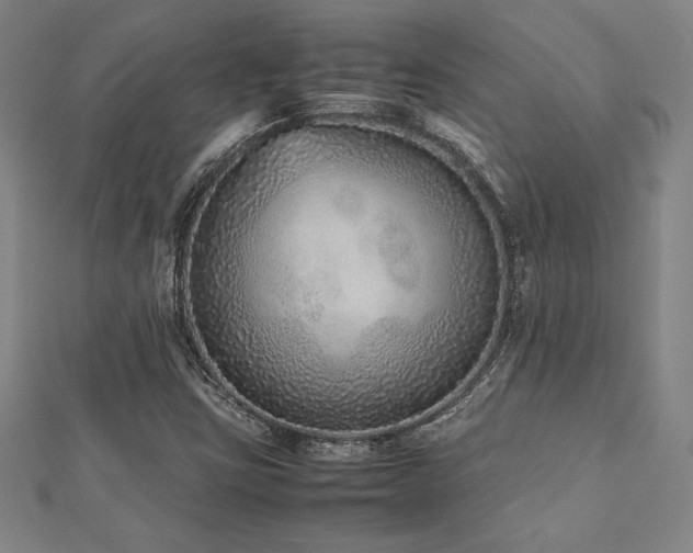 X0000112511403200908171324