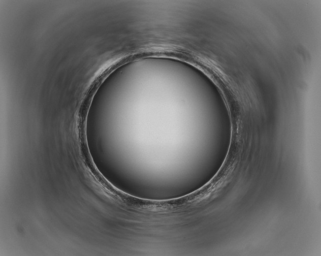 X0000112511404200908171324