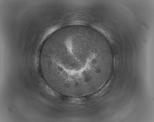 X0000112511405200908171324