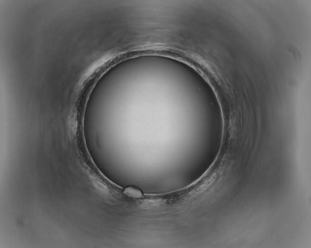 X0000112511406200908171324