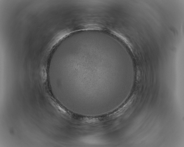 X0000112511407200908171324