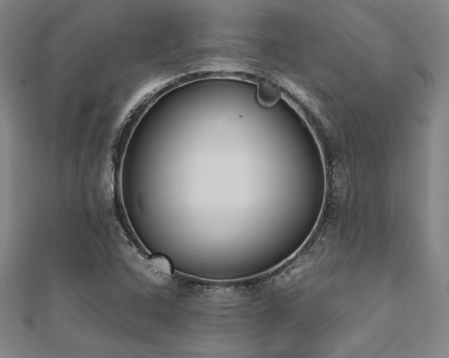 X0000112511408200908171324