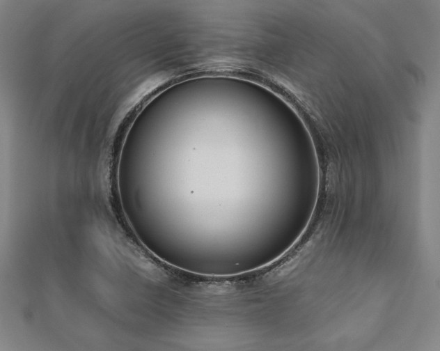 X0000112511410200908171324