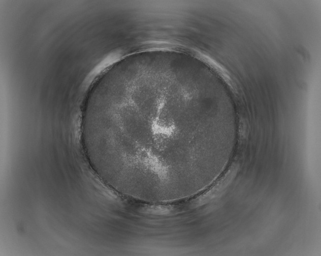 X0000112511411200908171324