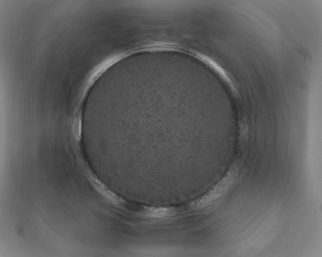 X0000112511413200908171324