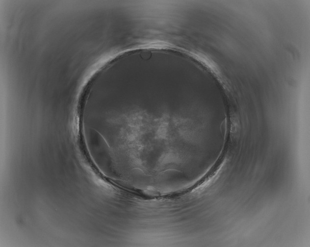 X0000112511414200908171324