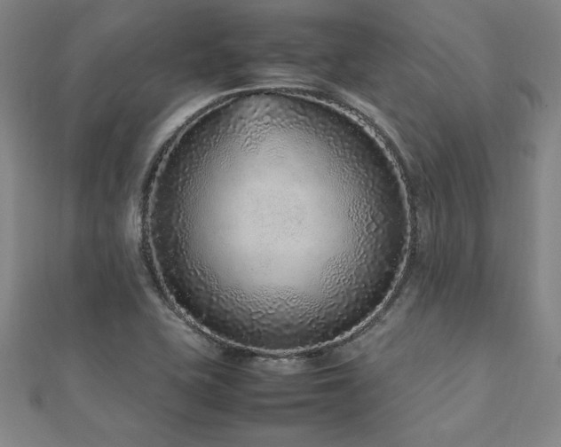 X0000112511415200908171324