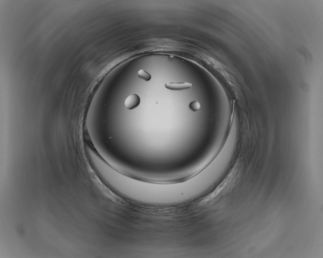 X0000112511417200908171324