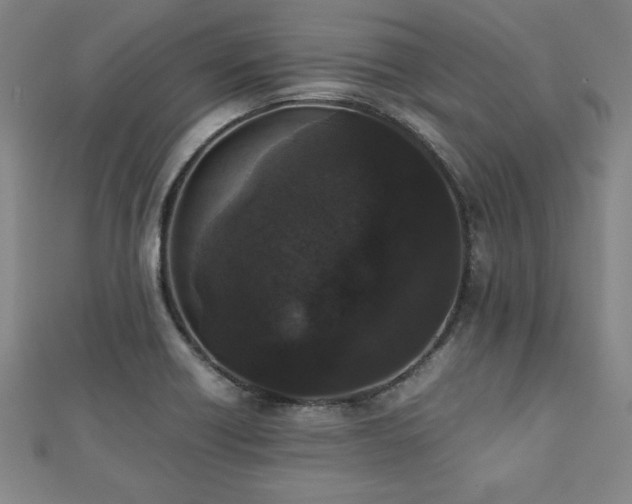 X0000112511418200908171324