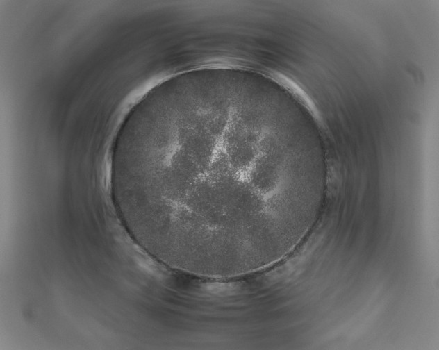 X0000112511419200908171324