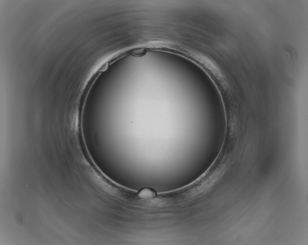 X0000112511420200908171324