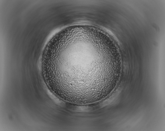X0000112511421200908171324