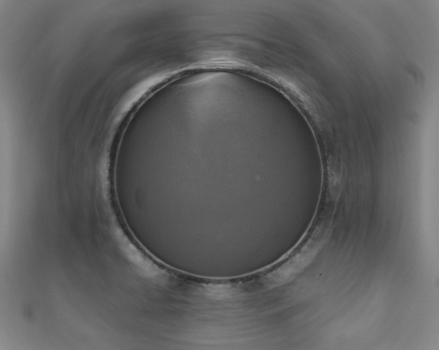 X0000112511422200908171324