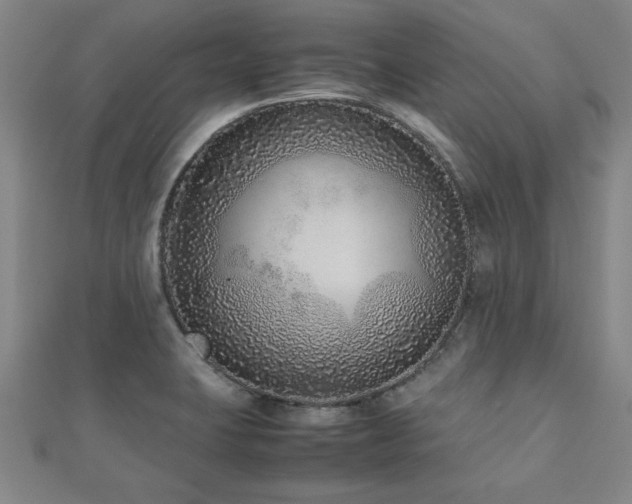 X0000112511423200908171324