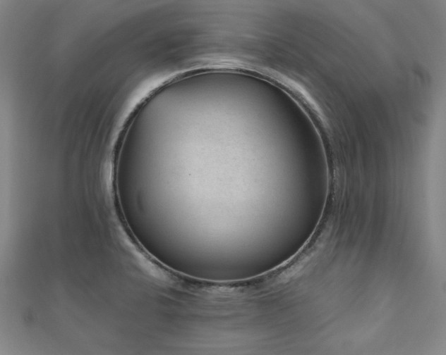 X0000112511424200908171324